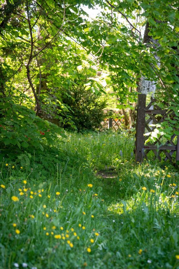 Landhauswohnung Mit Wildromantischem Garten Füssen Extérieur photo